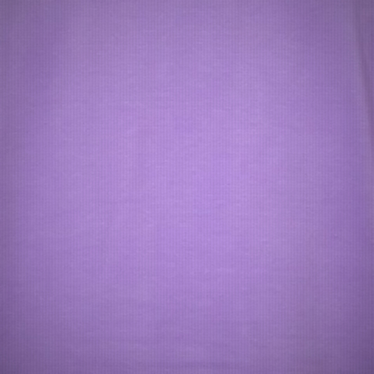 Karnataka Places Map — Back Print — Lilac — fabric close-up